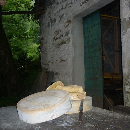 Da Erminia Bed & Breakfast Verdabbio Dış mekan fotoğraf