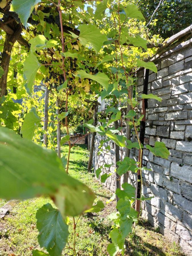 Da Erminia Bed & Breakfast Verdabbio Dış mekan fotoğraf