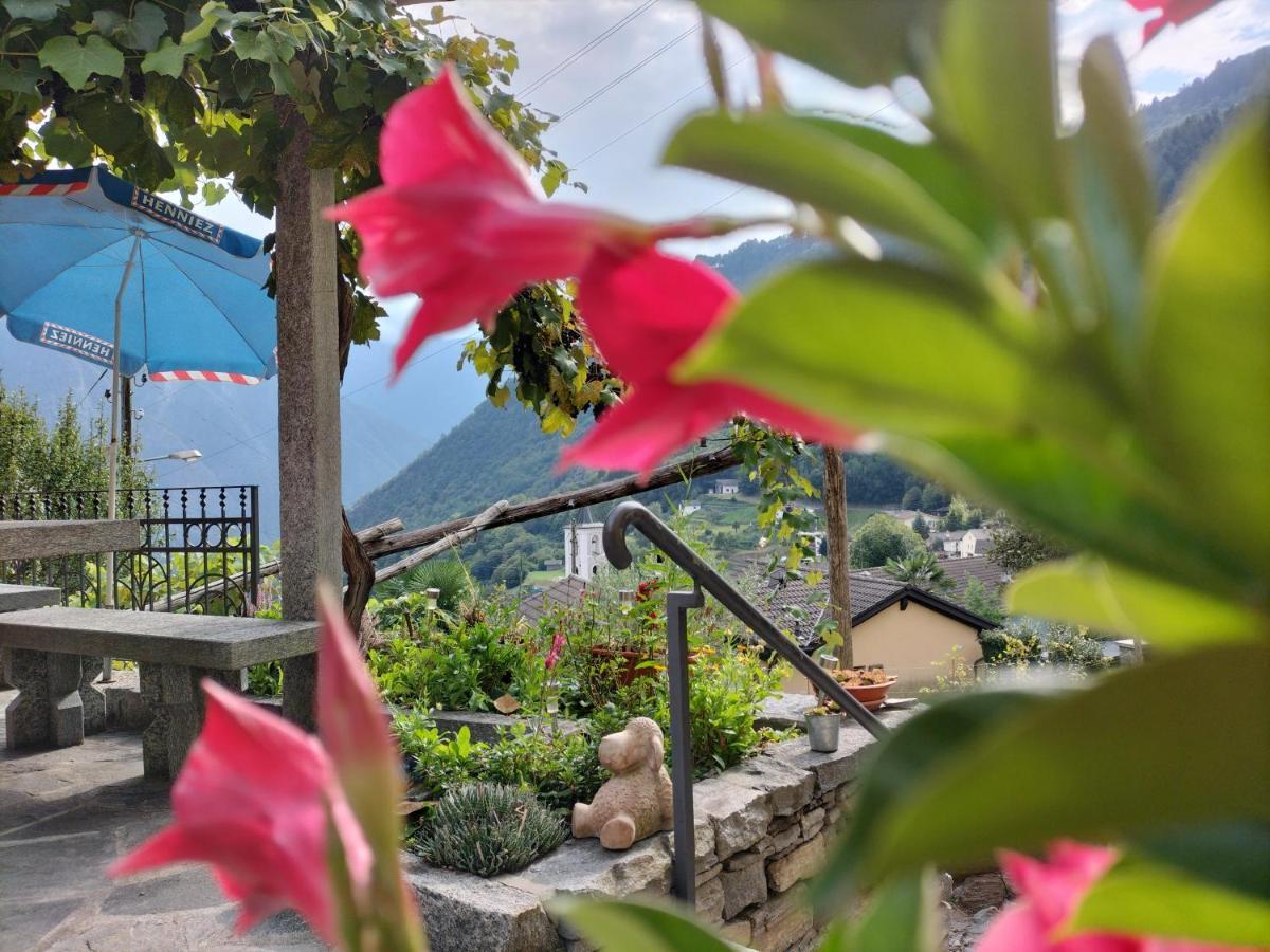 Da Erminia Bed & Breakfast Verdabbio Dış mekan fotoğraf